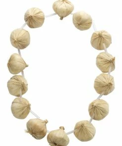 Fun Place Garlic Garland