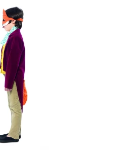 Fun Place Roald Dahl Fantastic Mr Fox Costume