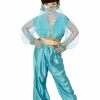 Fun Place Arabian Princess Costume, Blue Costumes & Characters 1 Fun Place Arabian Princess Costume, Blue Costumes & Characters