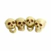 Fun Place Skull Heads