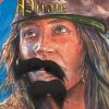 Fun Place Caribbean Pirate Beard And Moustache Beards & Facial Hair