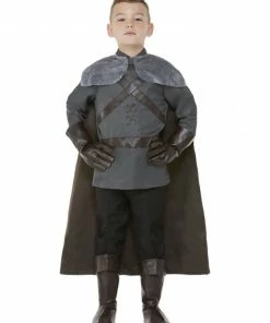 Fun Place Costumes & Characters Medieval Lord Costume, Grey