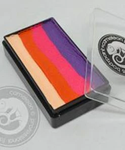 Fun Place Fairy Dust Colour Block One Stroke