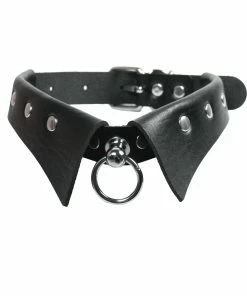 Fun Place Hidden Ring Collar Accessories