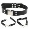 Fun Place Accessories New Buckle Collar 2 Fun Place Accessories New Buckle Collar