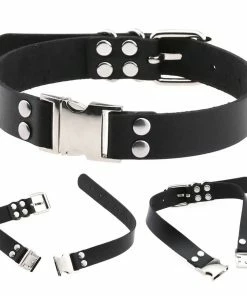 Fun Place Accessories New Buckle Collar