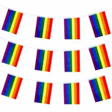 Fun Place Rainbow Paper Bunting