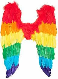Fun Place Rainbow Angel Wings
